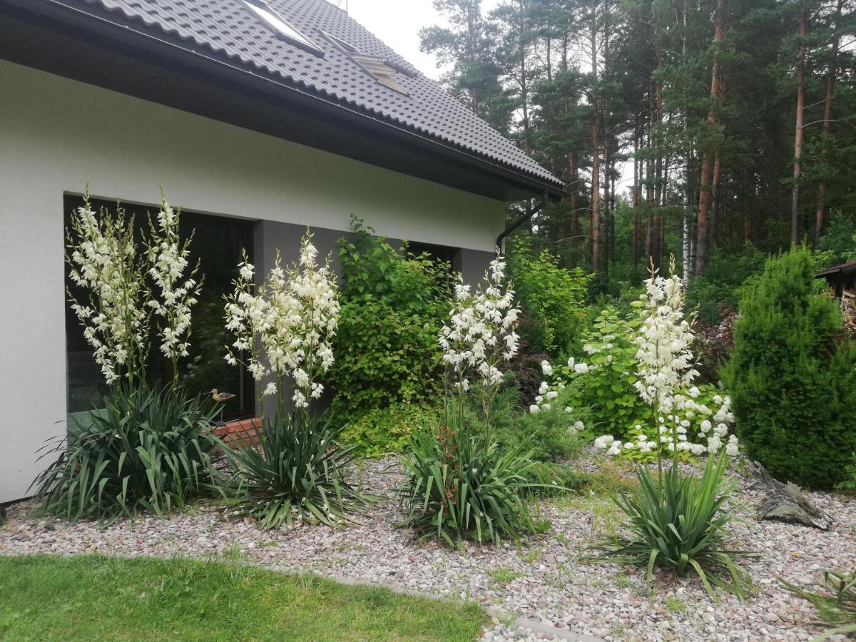 Cudodomek Spa W Mrozach Wielkich Kolo Elku Esterno foto
